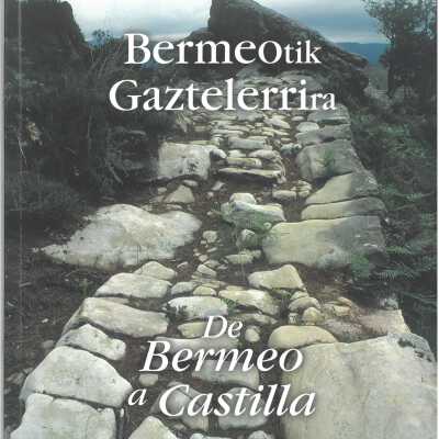 Bermeotik gaztelerrira : bidea eta ondarea = de Bermeo a castilla : camino y patrimonio