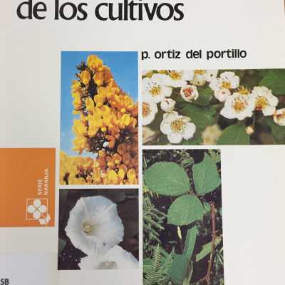 Malas hierbas de los cultivos