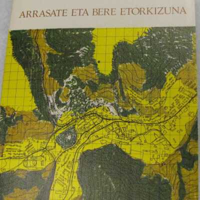 Industria-herri baten azterketa : Arrasate eta bere etorkizuna