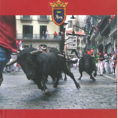 Pamplona: Running the Bulls, Bars and Barrios in Fiesta de San Fermin