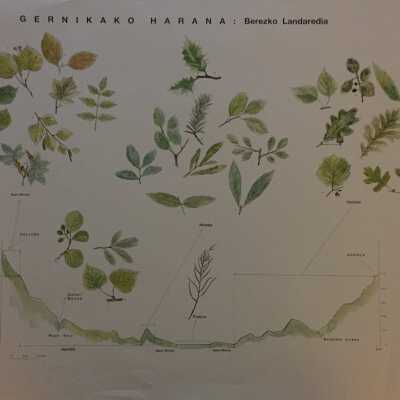 Gernikako Harana : Berezko Landaredia [Gernika Valley : Own Land - GoogleTranslate]