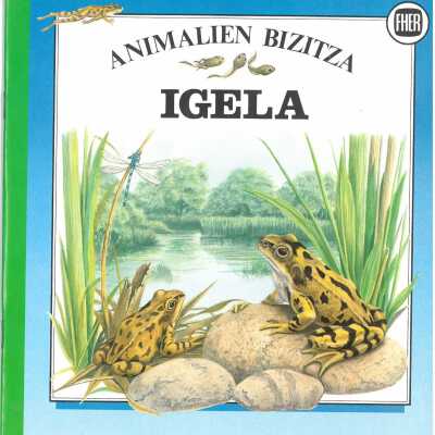 Igela