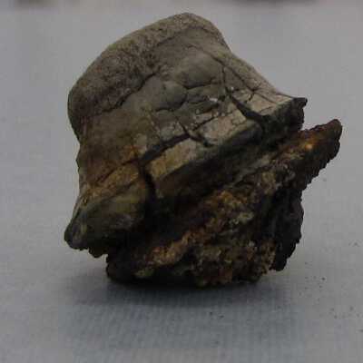 Stopper, Bottle