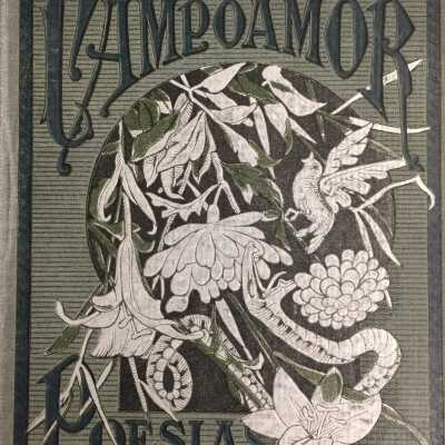 Poesias escogidas de d. Ramon de Campoamor