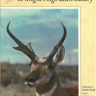Steens Mountain in Oregon's high desert country