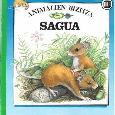 Sagua
