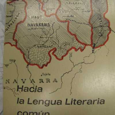Hacia la Lengua Literaria Comun