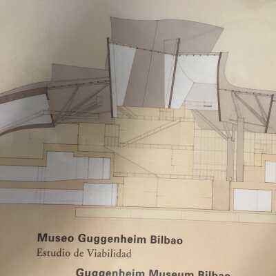 Museo Guggenheim Bilbao : estudio de viabilidad = Guggenheim Museum Bilbao : feasibility study