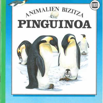 Pinguinoa