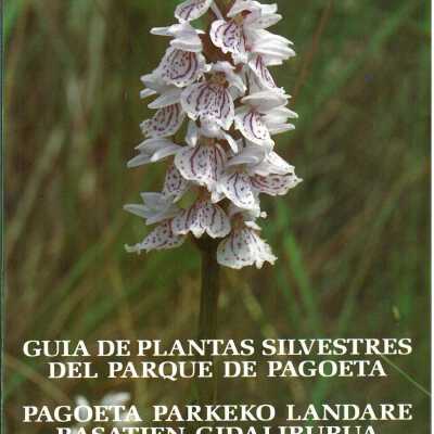 Guia de Plantas Silvestres Del Parque de Pagoeta - Pagoeta Parkeko Landare Basatien Gidaliburua