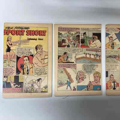 Joe Verdeur True Sport comic
