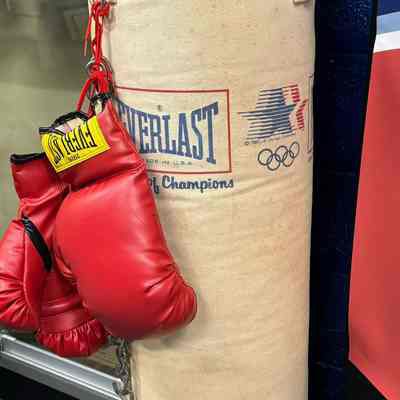 Everlast heavy bag & boxing gloves