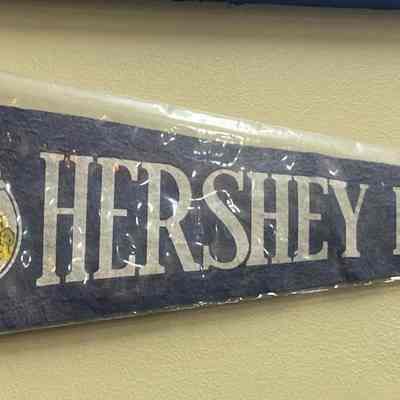 Hershey Park Arena pennant