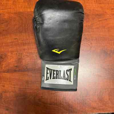 Everlast training gloves