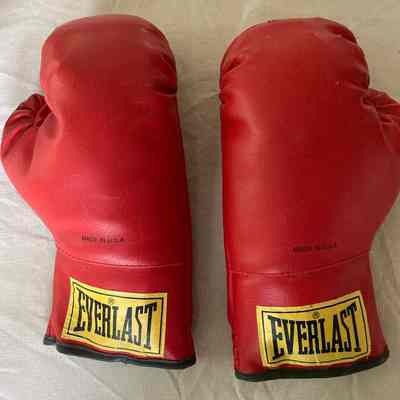Everlast boxing gloves