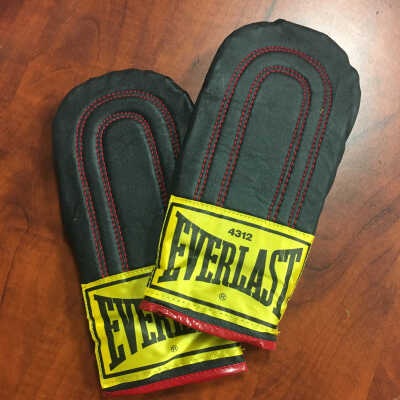 Everlast training gloves