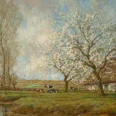 Farm with Blooming Apple Trees