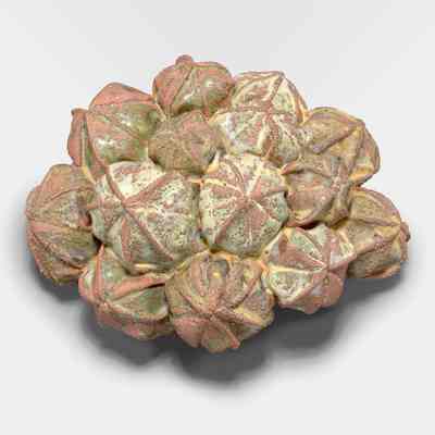 From the Beach Brooch