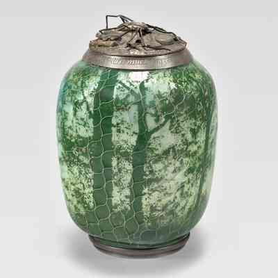 Spider Jar
