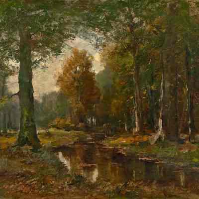 Forest in the Hague