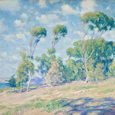 Laguna Trees