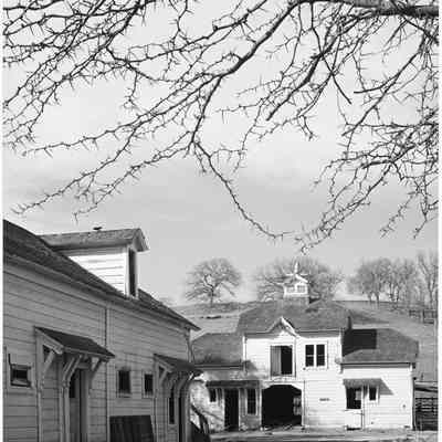 Old Barn, Spring Valley Ranch