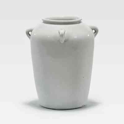 Placenta Jar