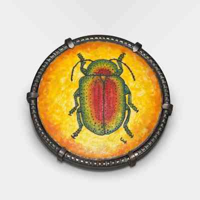 Chrysomelid Brooch