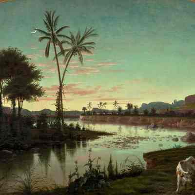 Untitled (Tropical Landscape)