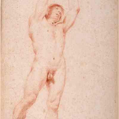 Male Nude