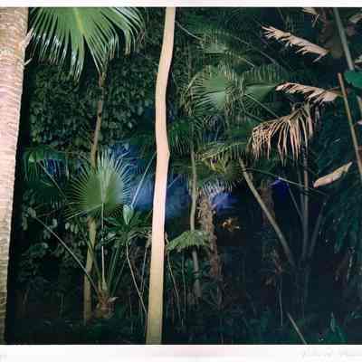 Hawaii, XIII