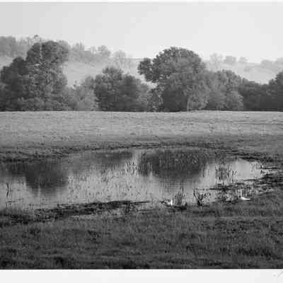 Pool, Misty Morning