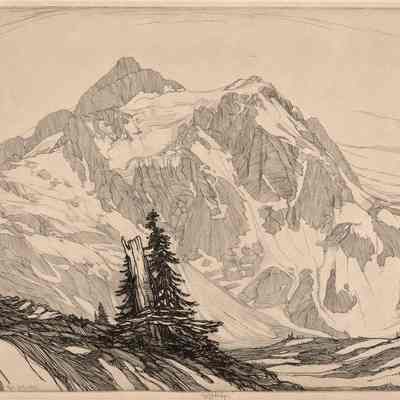 Avalanche Land