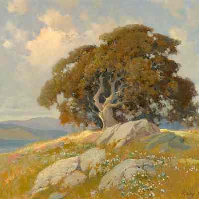 Oak Tree with San Francisco Bay