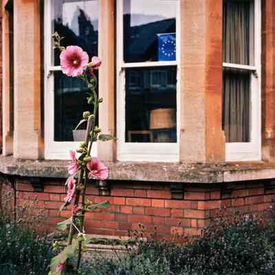 Untitled, from the series A Certain Logic of Expectations