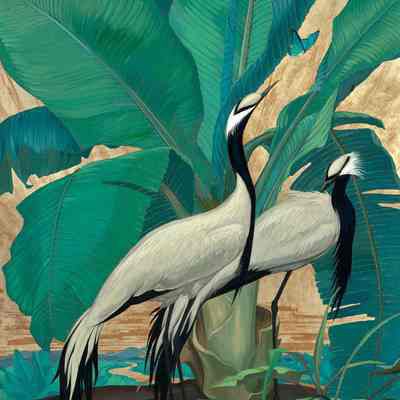 Demoiselle Cranes