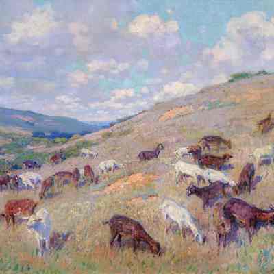 Goats on a Hillside, Pomona