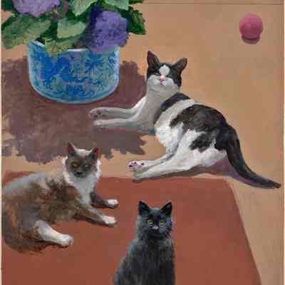 Page of Studies with Cats