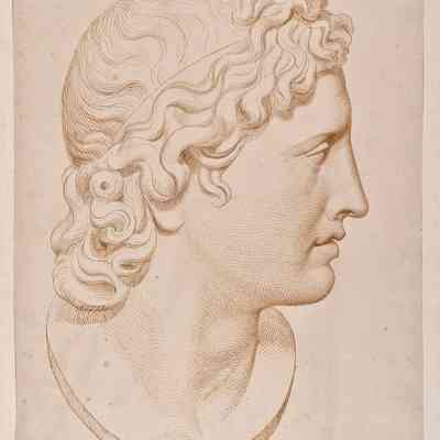 Bust of Apollo Belvedere (Right Profile)