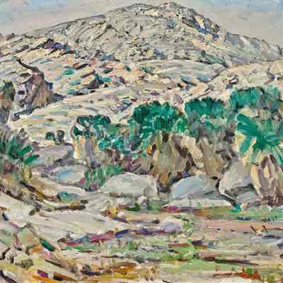 Palm Canyon