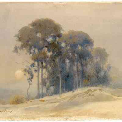 Moonlight and Trees