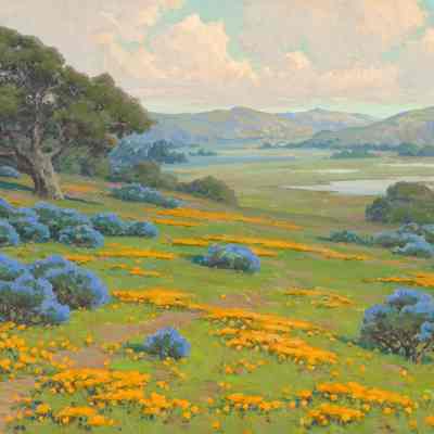 A Spring Morning, Poppies and Bush Lupine