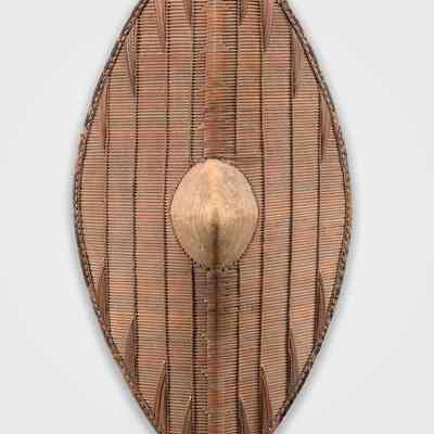 Shield