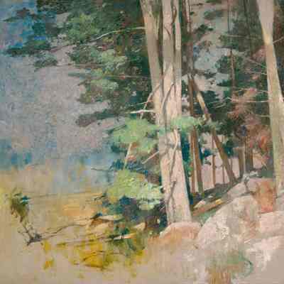 Sunlit Wood