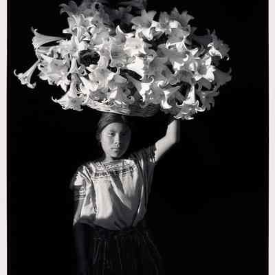 Basket of Light, Guatemala