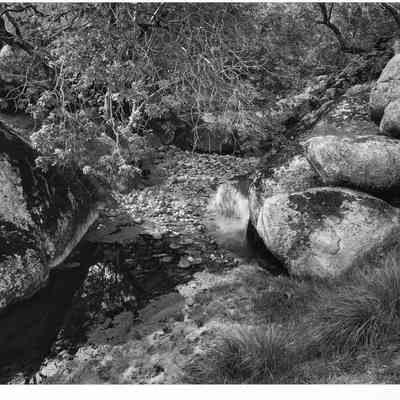 Rocks, Leaves, Pool