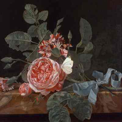 Roses and Butterfly