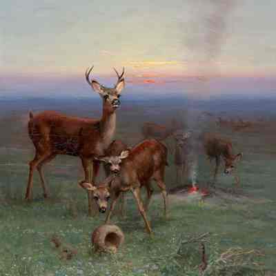 Monterey Deer