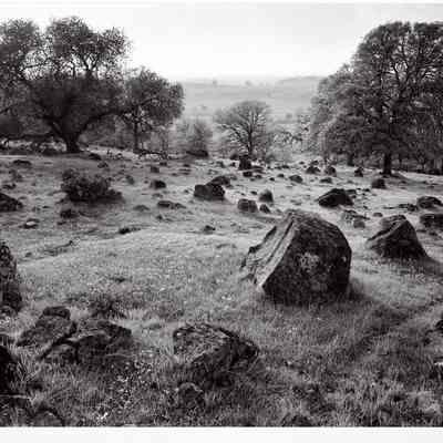Rocks, Grass, Trees, Sun