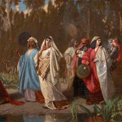 Harem Taking a Walk